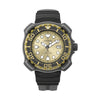 PROMASTER ECO DRIVE MARINE - BN0226-10PE